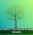 Scalable Tech Is The Secret to Sustainable Growth